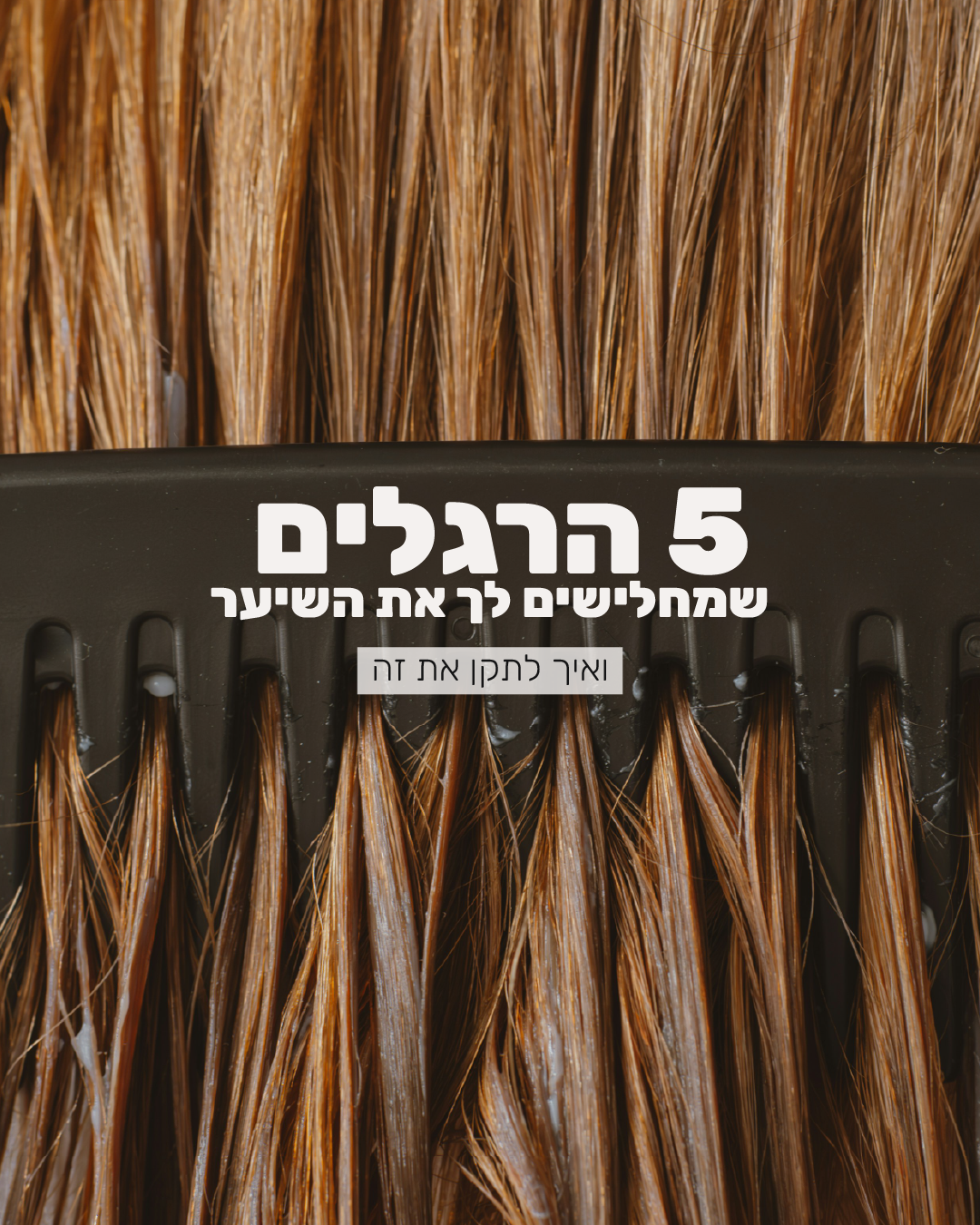 גאנט אפריל רונן לייזר-03